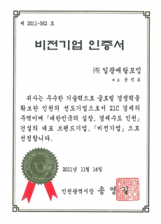 Certificate of Vision